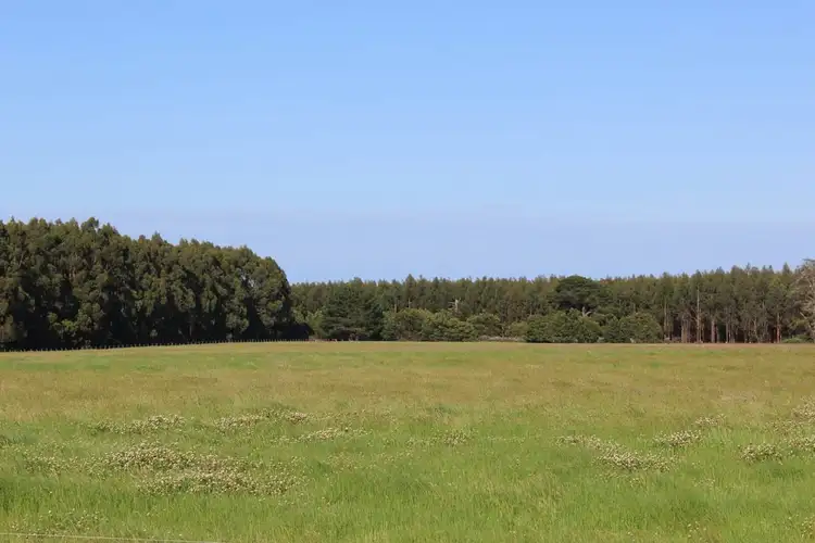 Sixth view of Homely rural property listing, Friends Road, Myamyn VIC 3304