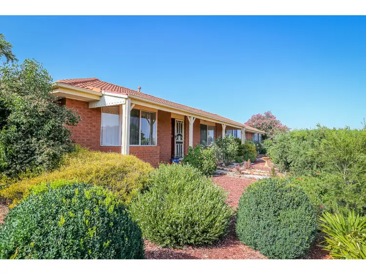 Main view of Homely house listing, 33 Hickory Street, Thurgoona NSW 2640