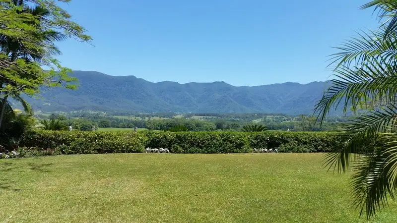 Main view of Homely rural property listing, 191 Pinnacle Road, Tyalgum NSW 2484