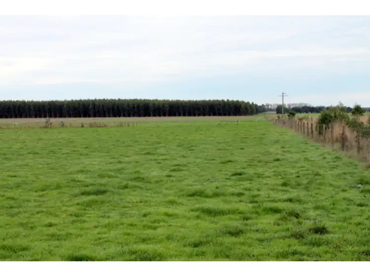 Second view of Homely rural property listing, 145 Irrewillipe - Pirron Yallock Road, Irrewillipe VIC 3249
