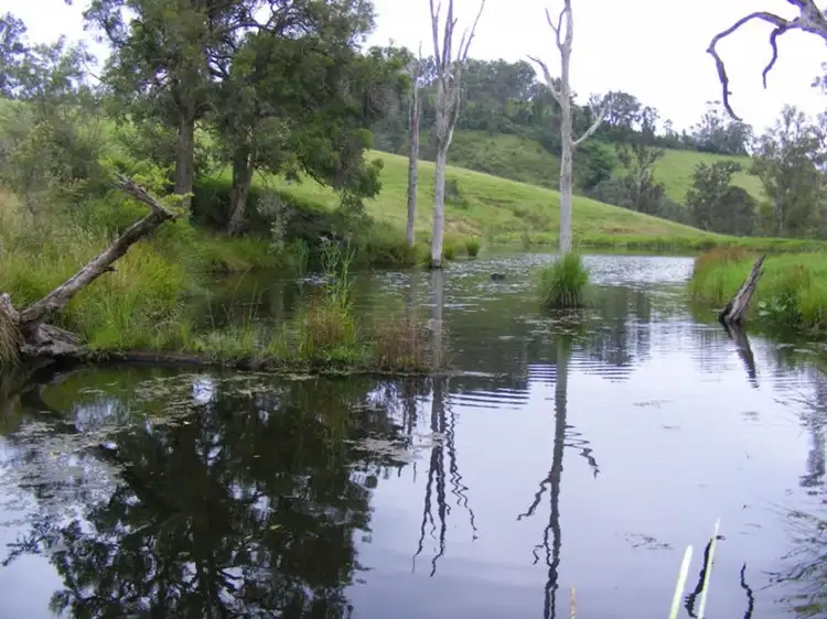 Third view of Homely house listing, 369 Cooper Gully Road, Bega NSW 2550