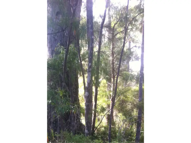 Second view of Homely land listing, 11 Howe Court, Walpole WA 6398
