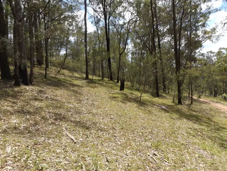 Seventh view of Homely rural property listing, 5 Blaxland Arm Road, Laguna NSW 2325