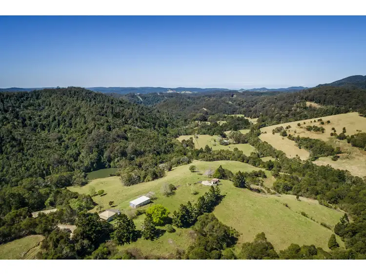 Second view of Homely rural property listing, 1691 Coramba Road, Dorrigo NSW 2453