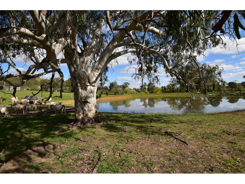 Main view of Homely rural property listing, Address available on request