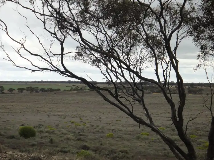 Seventh view of Homely rural property listing, Section 178 Halfway House Road, Sedan SA 5353