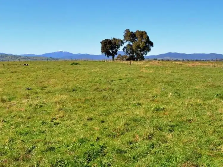 Main view of Homely land listing, 294 Mt Battery Road, Mansfield VIC 3722