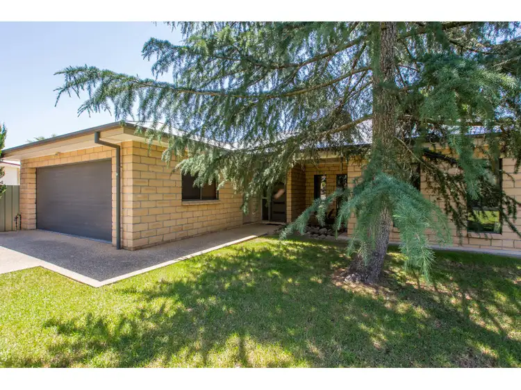 Second view of Homely house listing, 169 Hoddle Street, Howlong NSW 2643