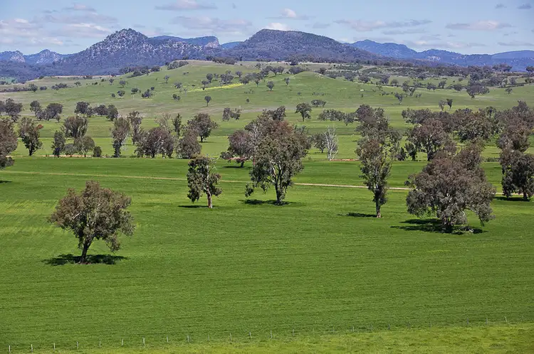 Fourth view of Homely rural property listing, 7245 Bylong Valley Way, Bylong NSW 2849