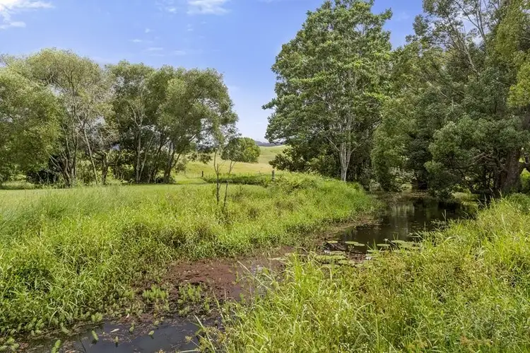 Main view of Homely rural property listing, 44 Birrigan Close, Nobbys Creek NSW 2484