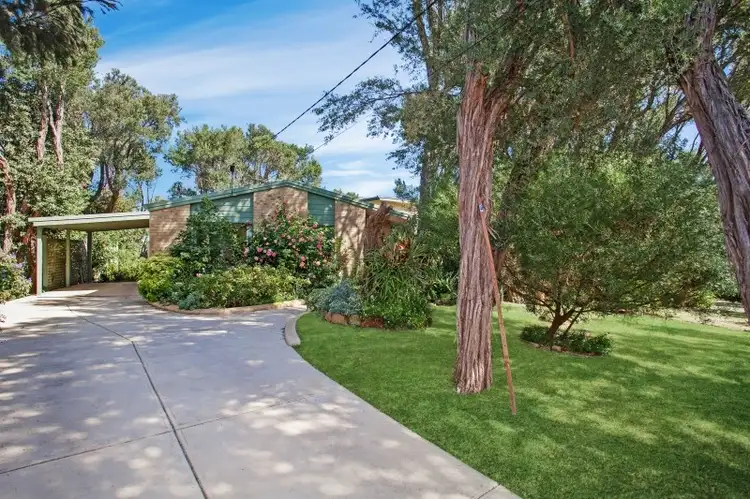 Main view of Homely house listing, 6 Dunlane Court, Rye VIC 3941