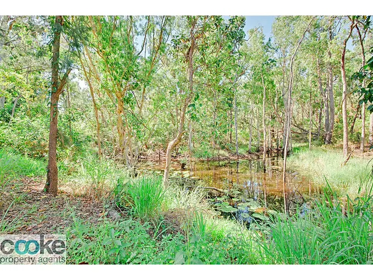 Third view of Homely rural property listing, 106 Yaxleys Road, Byfield QLD 4703