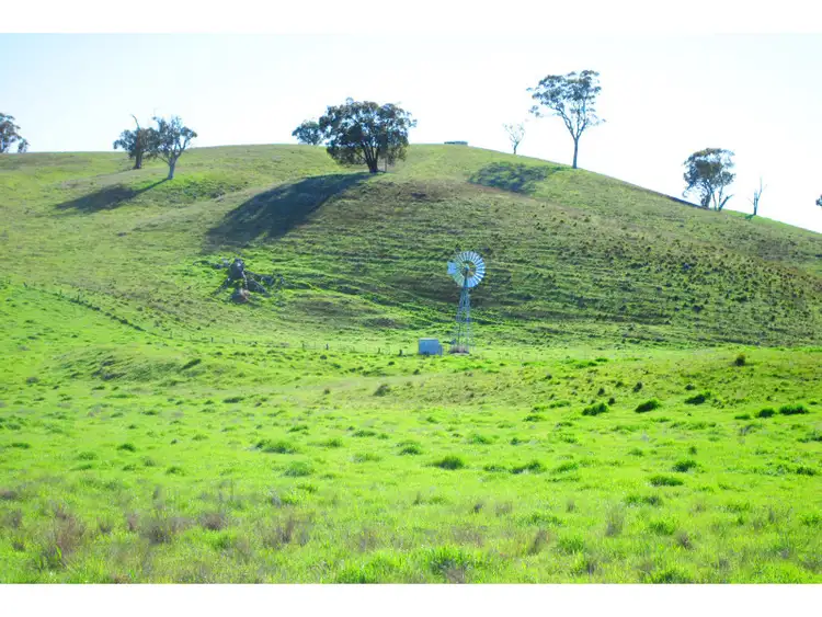 Third view of Homely rural property listing, 346 Avoca Road, Stuart Town NSW 2820