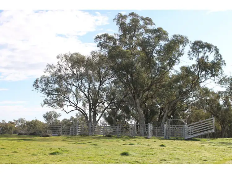 Fifth view of Homely rural property listing, 'Amaroo' 324 Dripstone Road, Neurea NSW 2820