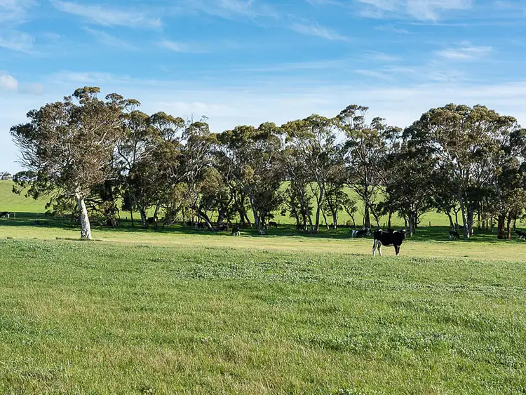 Third view of Homely rural property listing, 3338 Davis Road, Macclesfield SA 5153