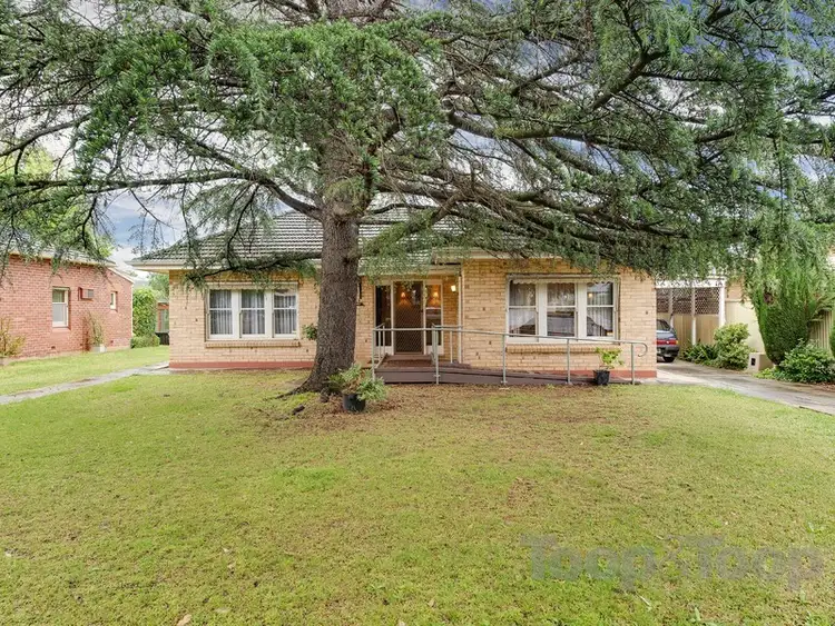 Second view of Homely house listing, 57 Hereford Avenue, Trinity Gardens SA 5068
