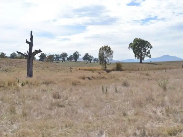 Fourth view of Homely rural property listing, 263 Mount Battery Road, Mansfield VIC 3722