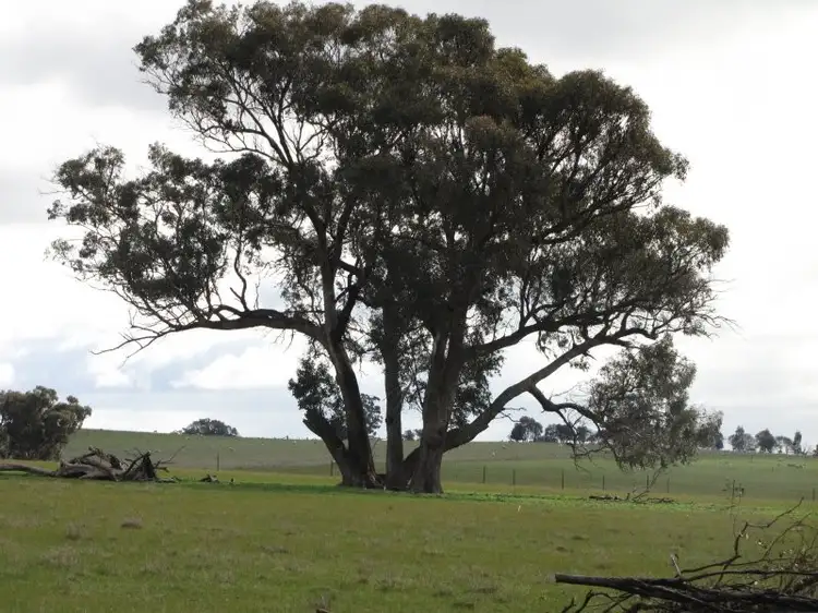 LOT 2 Moorabee Foreshore Road, Knowsley VIC 3523