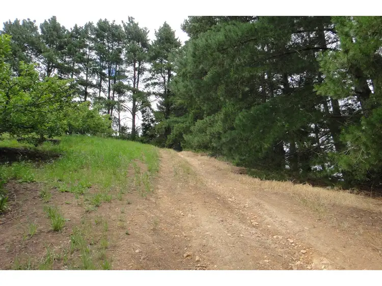 Fourth view of Homely rural property listing, 718 Swamp Road, Lenswood SA 5240
