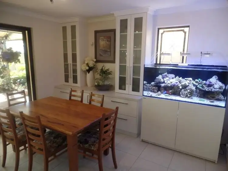 Fifth view of Homely house listing, 17 Celosia Way, Riverton WA 6148