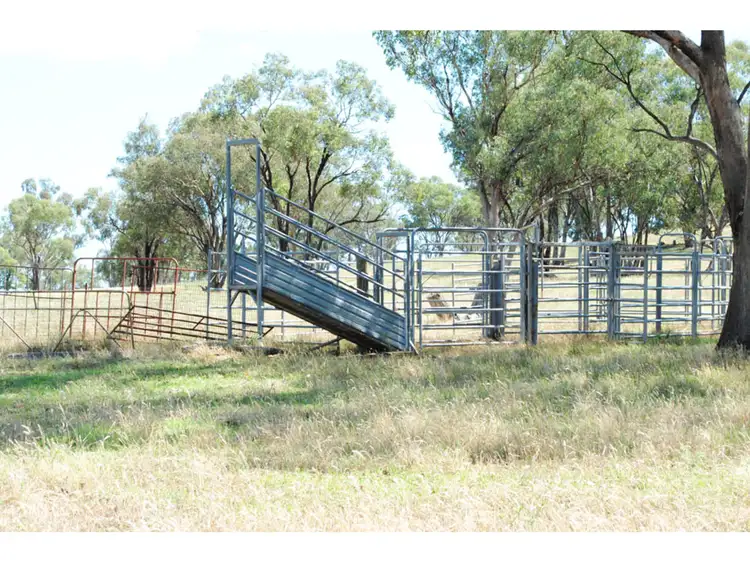 Third view of Homely rural property listing, 4096 Henry Parkes Way, Manildra NSW 2865