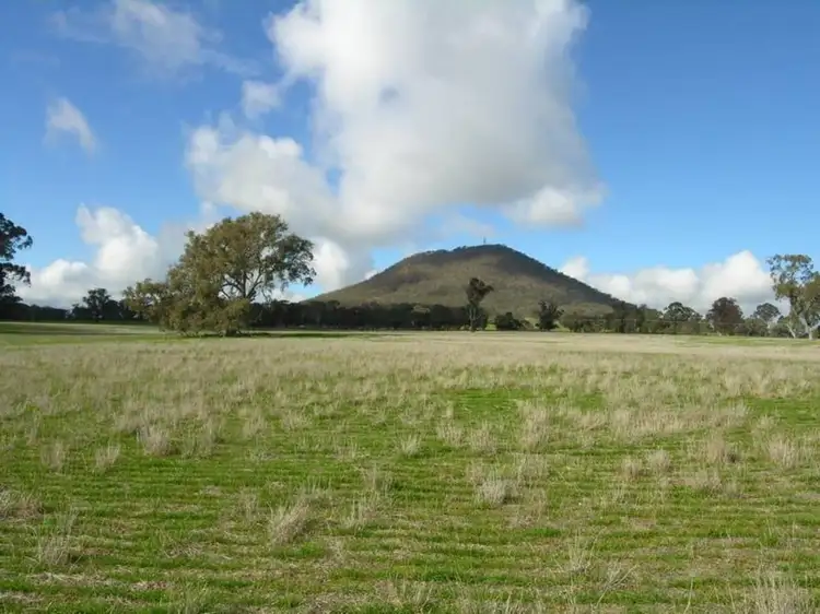 Third view of Homely rural property listing, 2647 Maroondah Highway, Mansfield VIC 3722