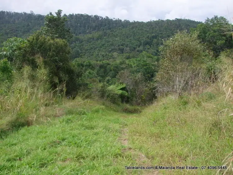 Seventh view of Homely rural property listing, LS516/Lot 1 Watson Road, Millaa Millaa QLD 4886
