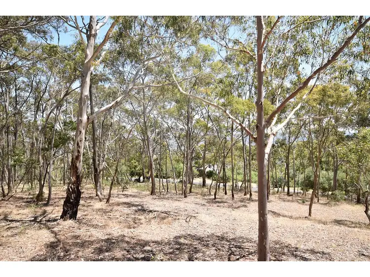 Second view of Homely rural property listing, Address available on request