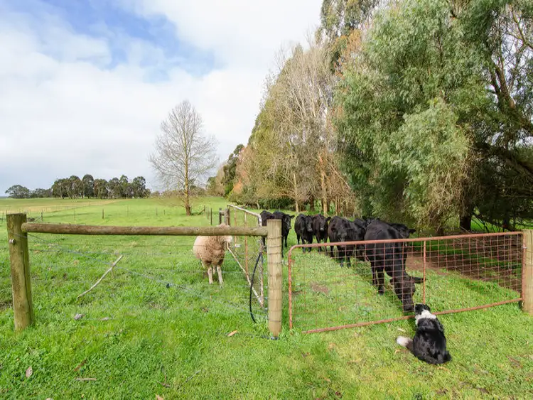 Sixth view of Homely land listing, Lot 2 Glencoe West Road, Glencoe SA 5291