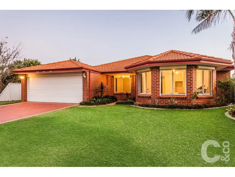 Main view of Homely house listing, 14 Nottingham Parkway, Orelia WA 6167