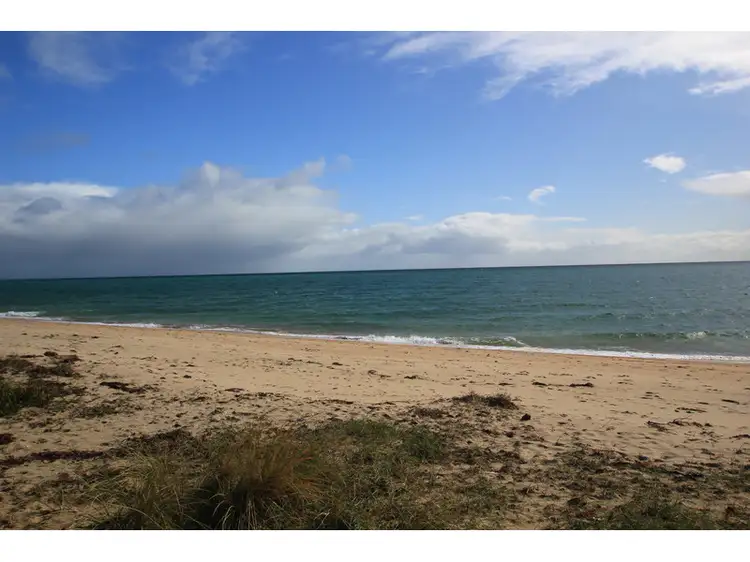 Fourth view of Homely other listing, Boatshed 203 Dromana Foreshore, Dromana VIC 3936