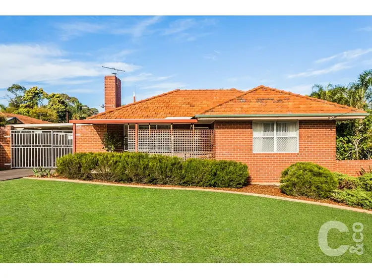 Main view of Homely house listing, 64 Christmas Avenue, Orelia WA 6167