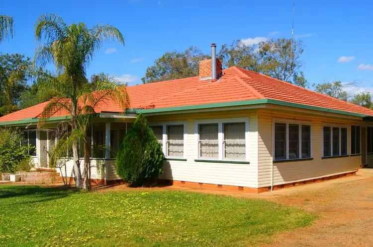 Fifth view of Homely rural property listing, 12323 Oxley Highway, Mullaley NSW 2379