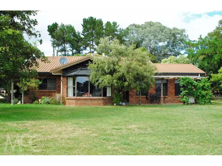 Main view of Homely rural property listing, 110 Offner Road, Borenore NSW 2800
