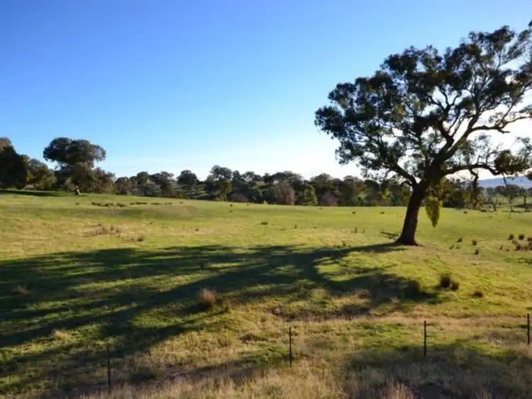 Fifth view of Homely rural property listing, 257 Desmonds Road, Boorolite VIC 3723