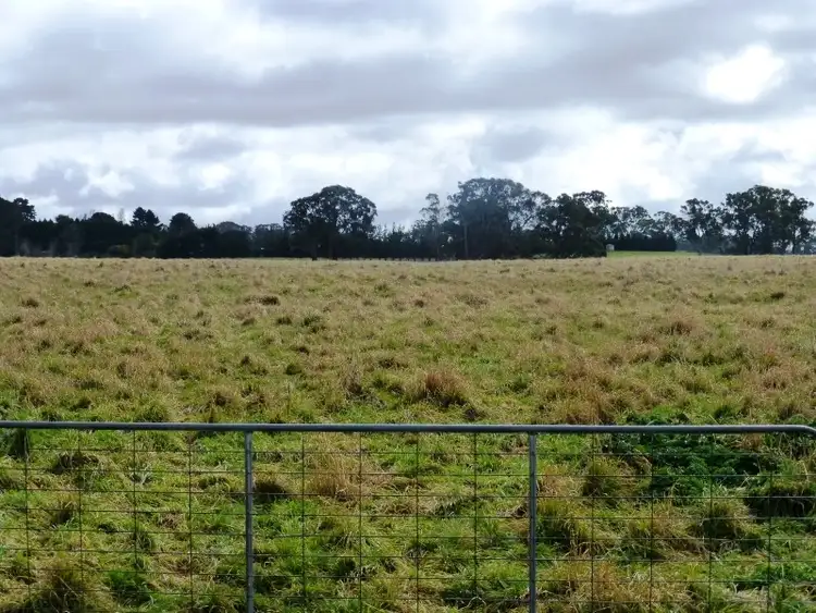 Fourth view of Homely rural property listing, 1083 Forest Road, Orange NSW 2800