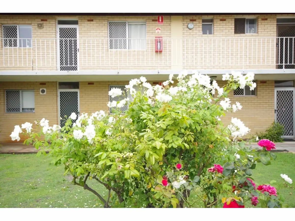 Main view of Homely unit listing, 10/92 Sixth Avenue, Maylands WA 6051