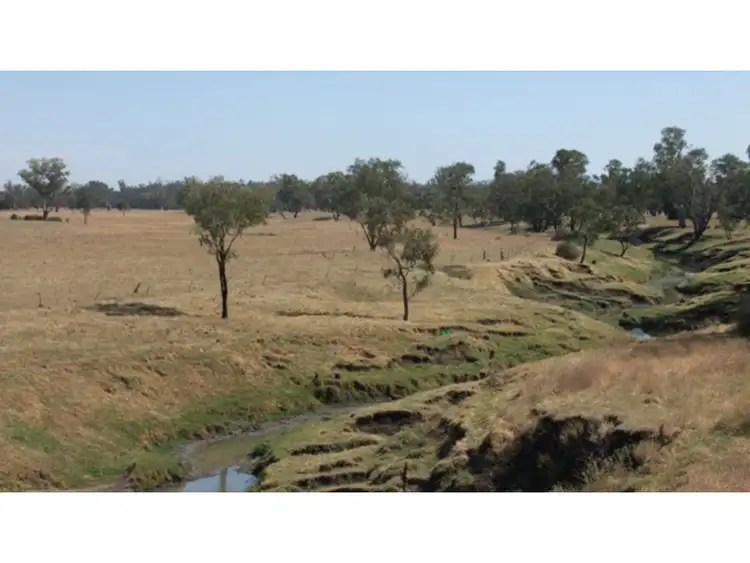 33-107 Lochrey Rd, Gunnedah NSW 2380