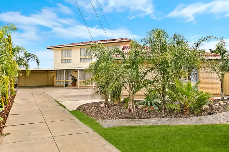 62 Baroda Avenue, Netley SA 5037