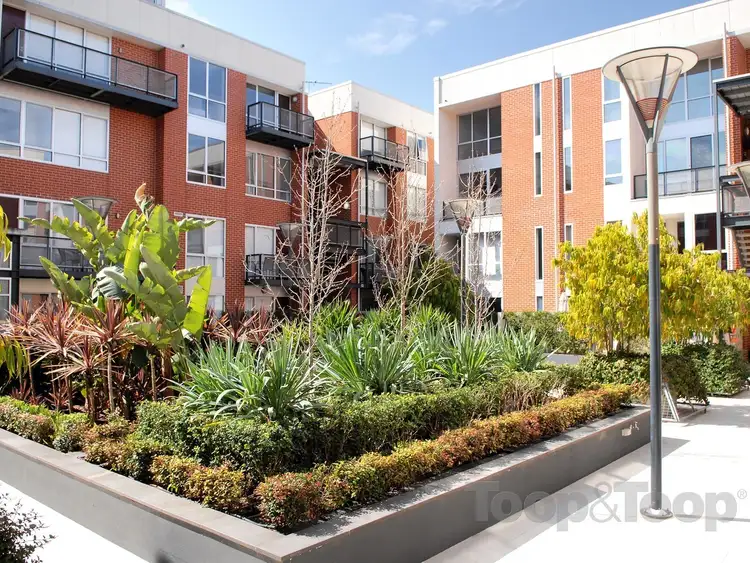 19/237 Wakefield Street, Adelaide SA 5000