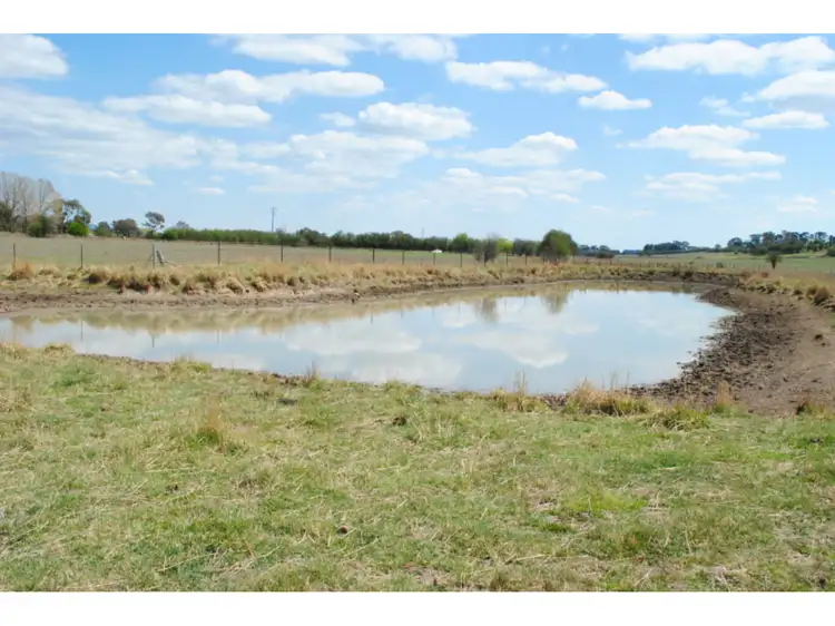 Third view of Homely rural property listing, 23 Williams Lane, Shadforth NSW 2800