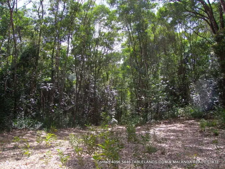 Seventh view of Homely rural property listing, LS1100 Lot 214 Kelly Road, Ellinjaa QLD 4886