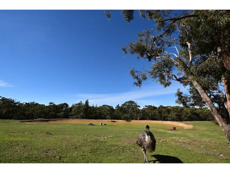 Sixth view of Homely rural property listing, 184 Canham Road, Birdwood SA 5234