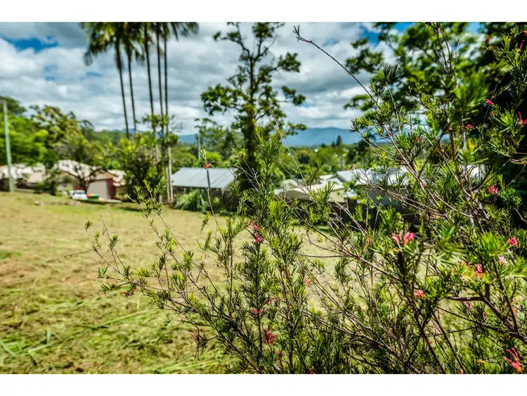 Seventh view of Homely land listing, 3 George Moore Lane, Bellingen NSW 2454