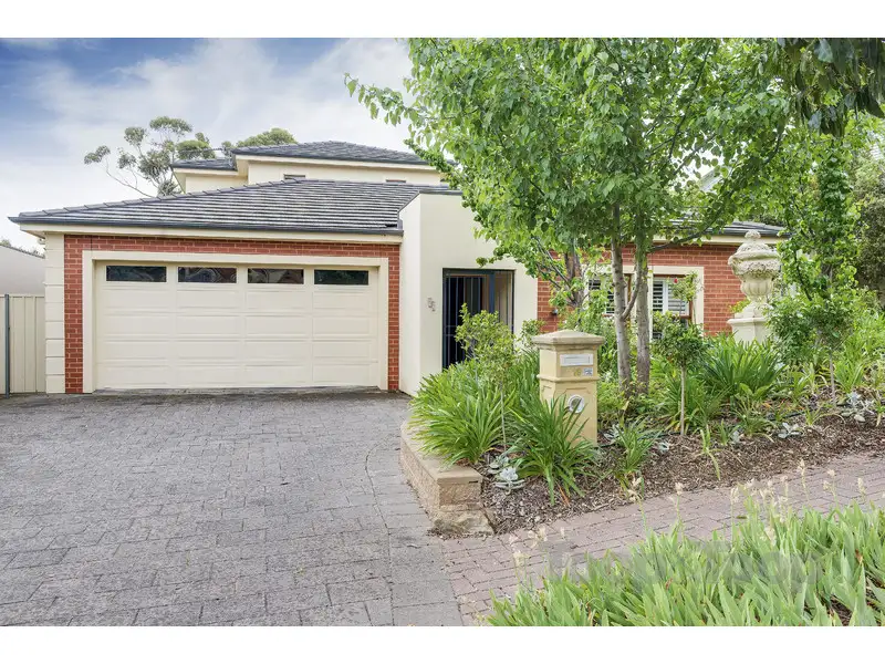 Main view of Homely house listing, 19 Hill Street, Burnside SA 5066