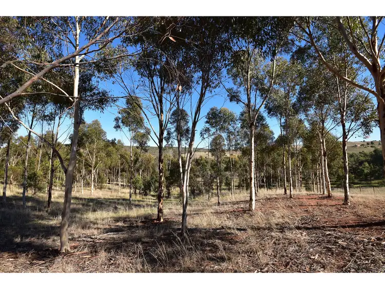Fifth view of Homely rural property listing, LOT 104 Mine Road, Palmer SA 5237