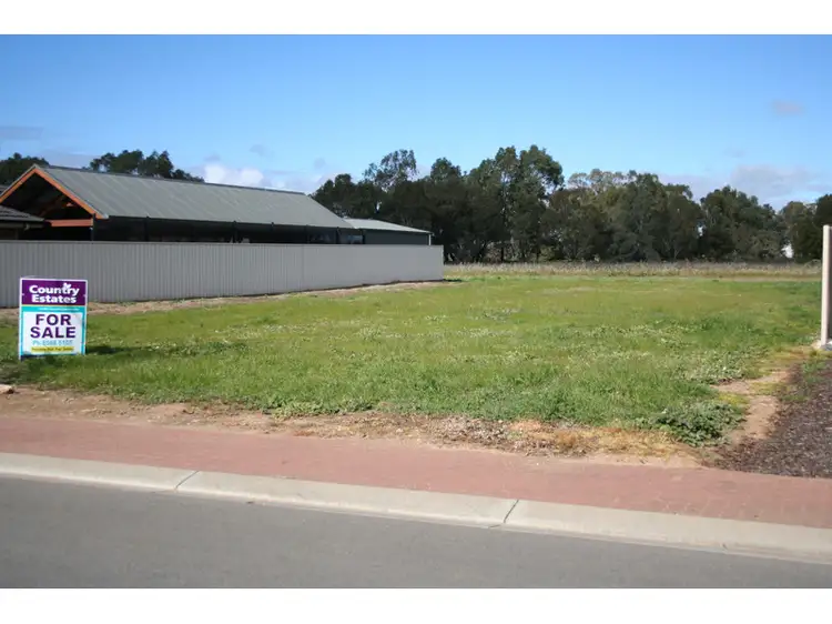 11 Robin Avenue, Nuriootpa SA 5355