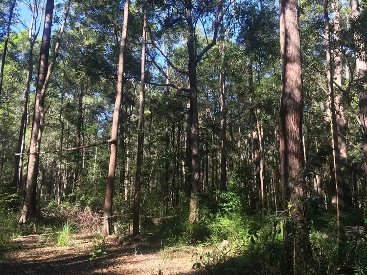 Fifth view of Homely land listing, 60 Hempsall Road, Cootharaba QLD 4565