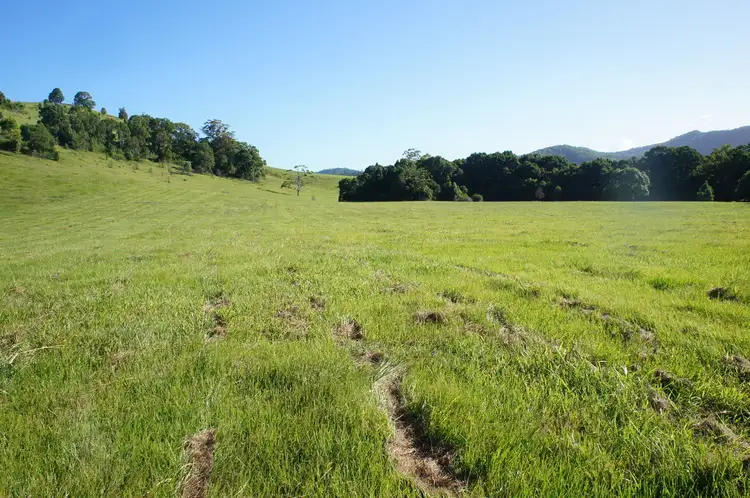 Fifth view of Homely rural property listing, 196b Stokers Road, Stokers Siding NSW 2484