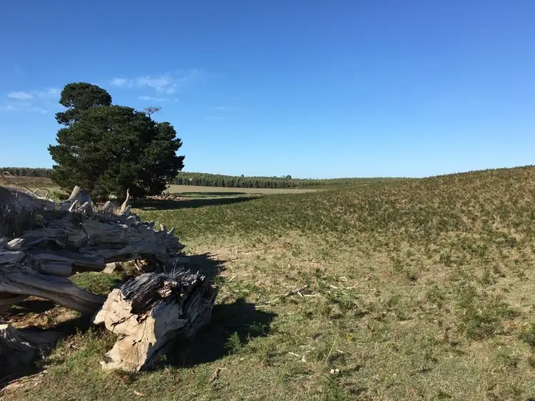 Fourth view of Homely land listing, LOT 102 Worrolong Road, Worrolong SA 5291